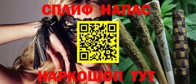 прущие грибы Будённовск
