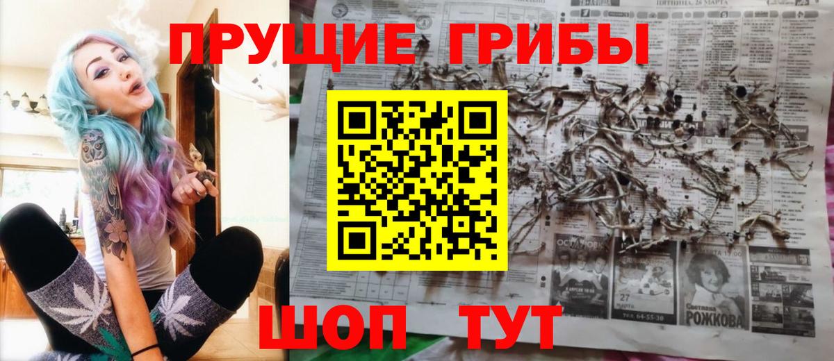 Узловая  Псилоцибиновые грибы Psilocybine cubensis  Галлюциногенные грибы ЛСД  наркота  Вход с VPN 